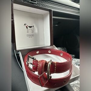 Coach Pet Medium Collar in Rich Red Leather 8848